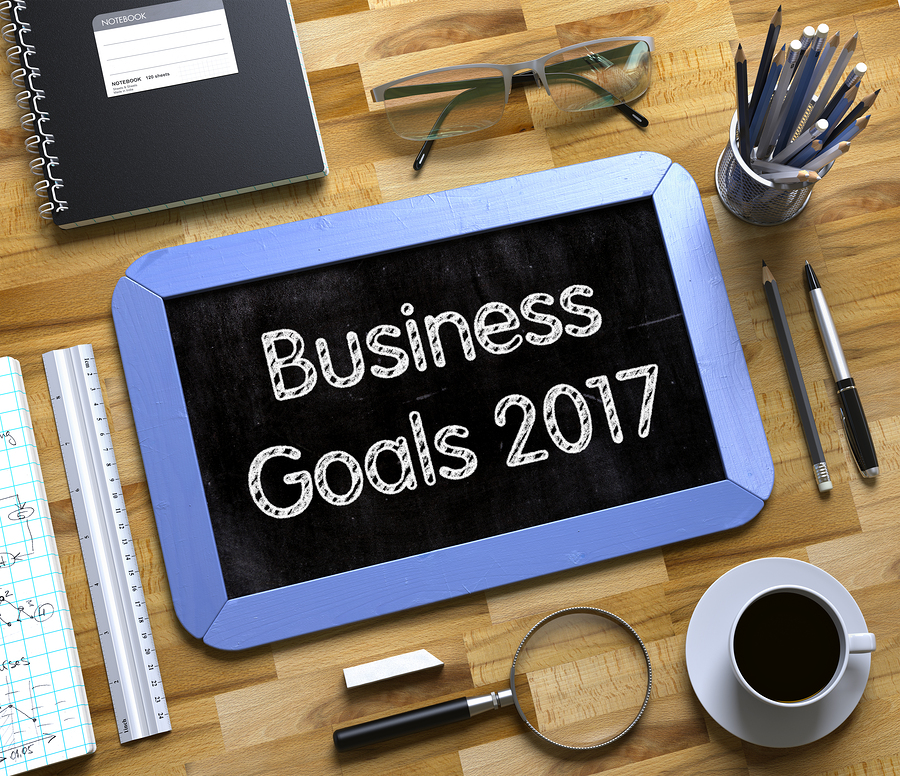 Business Goals for 2017