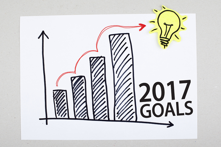 2017 goals success